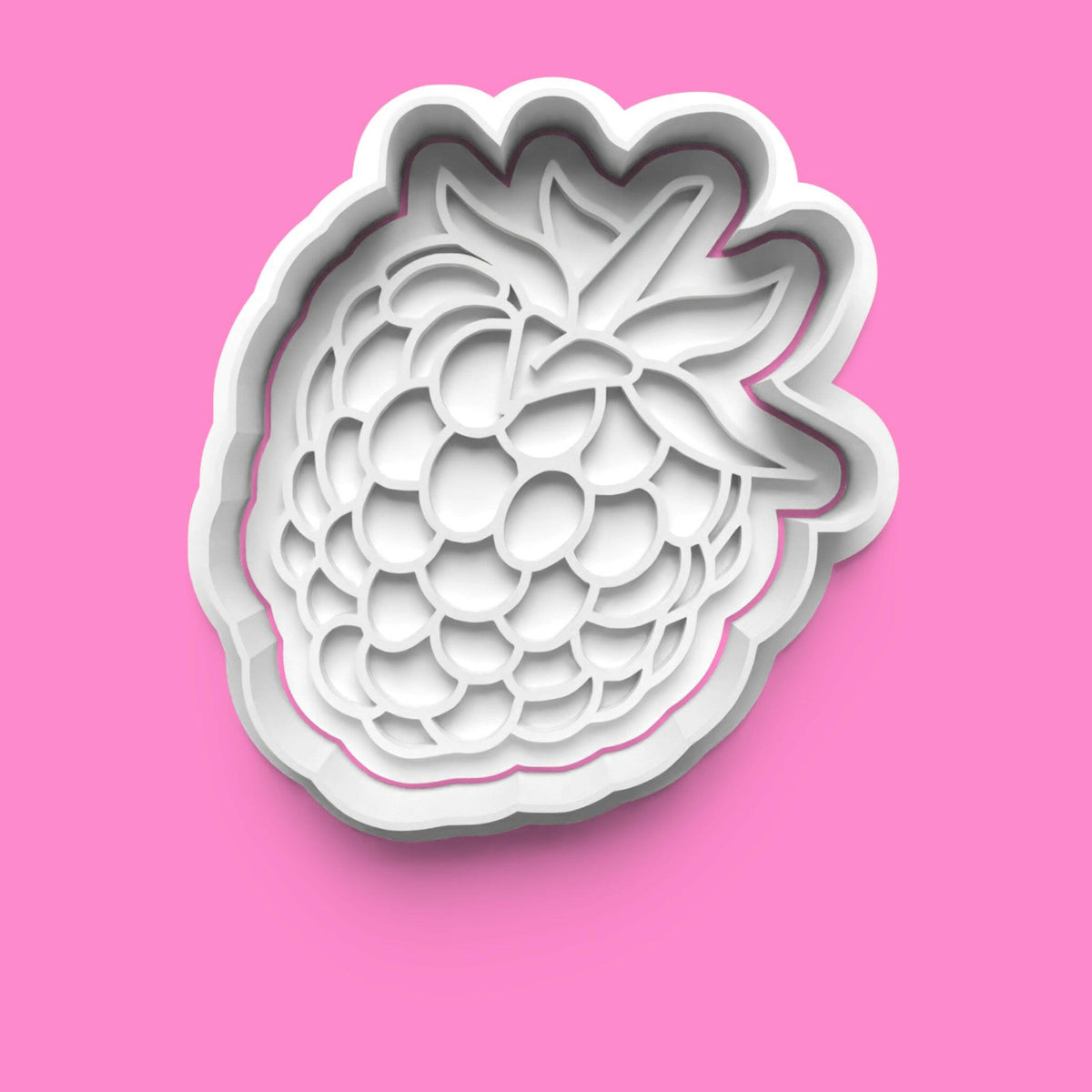 Fruit Cookie Cutter Set (20 pcs) | Various Fruit Designs | PLA Baking Tools.