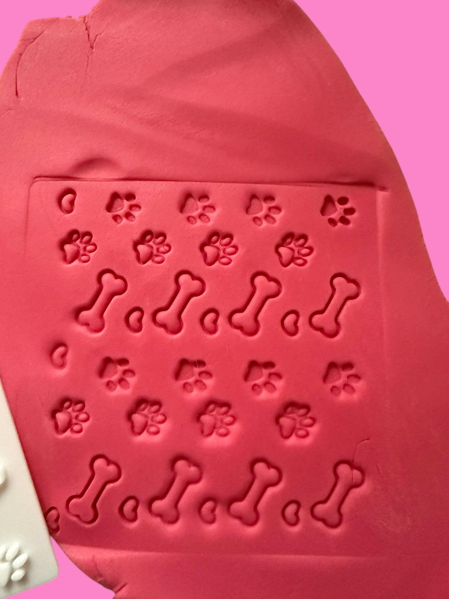 3D-Printed Textured Dog Items – Paw Print Bone Design, 10 cm Square.
