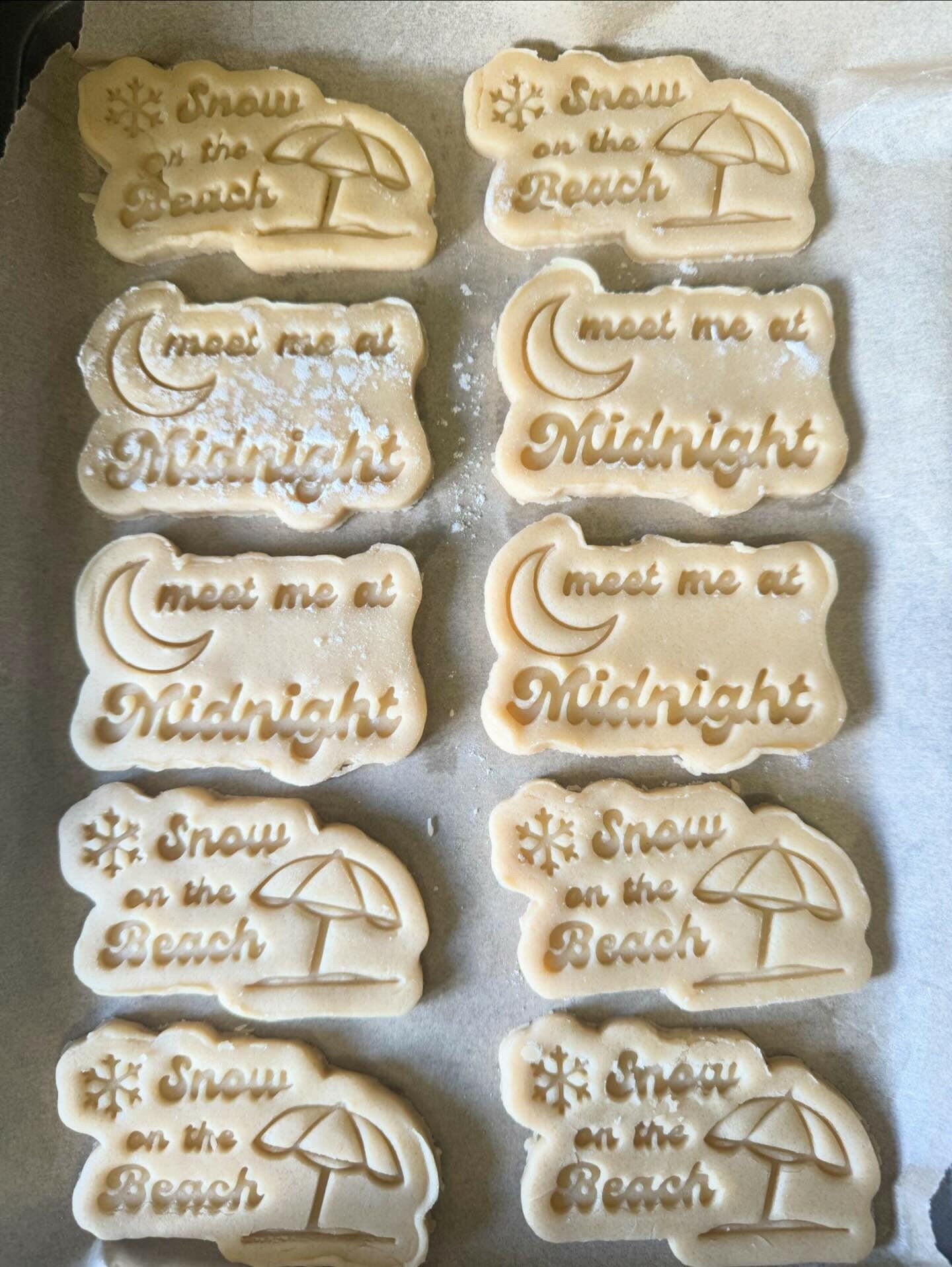 Taylor Swift Inspired Cookie Cutter and Embosser Set of 4 in 7cm or 10cm sizes..
