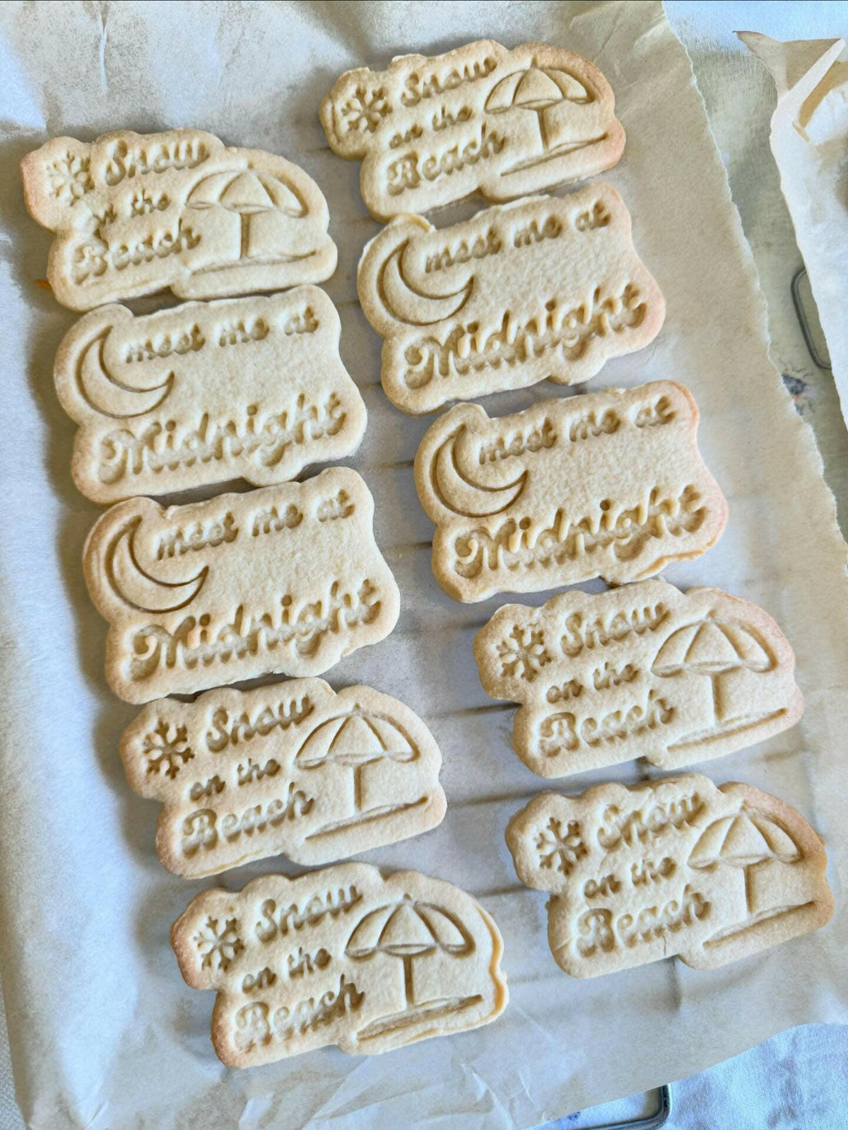 Taylor Swift Inspired Cookie Cutter and Embosser Set of 4 in 7cm or 10cm sizes..