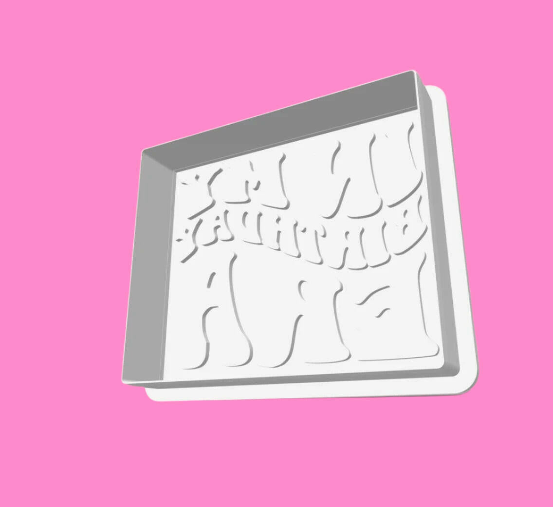 In My Birthday Era Taylor Swift inspired Cookie Cutter and Embosser Set.