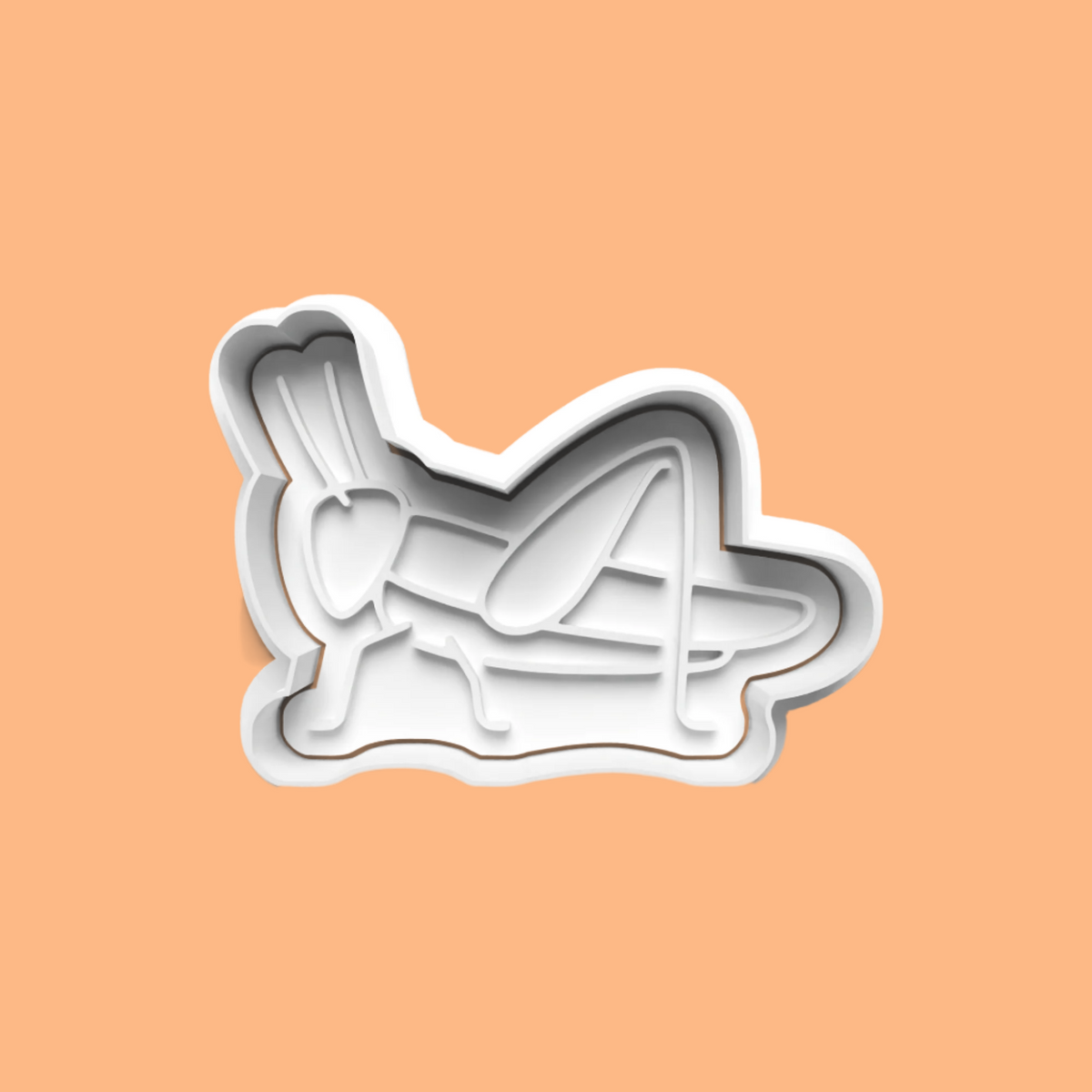 Bug-Themed Embosser and Cookie Cutter Set – Ladybird, Grasshopper, Wasp, and Ant – Set of 4.