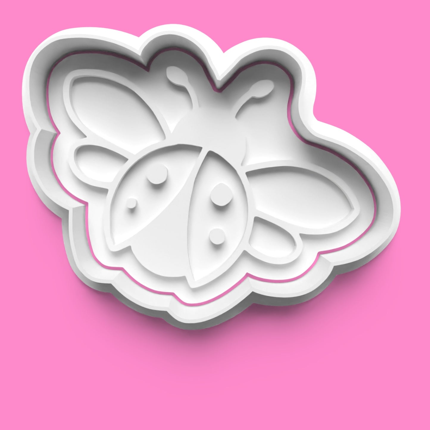 Ladybird Theme Cookie Cutter & Embosser Stamp Set – Cute & Nature-Inspired Collection