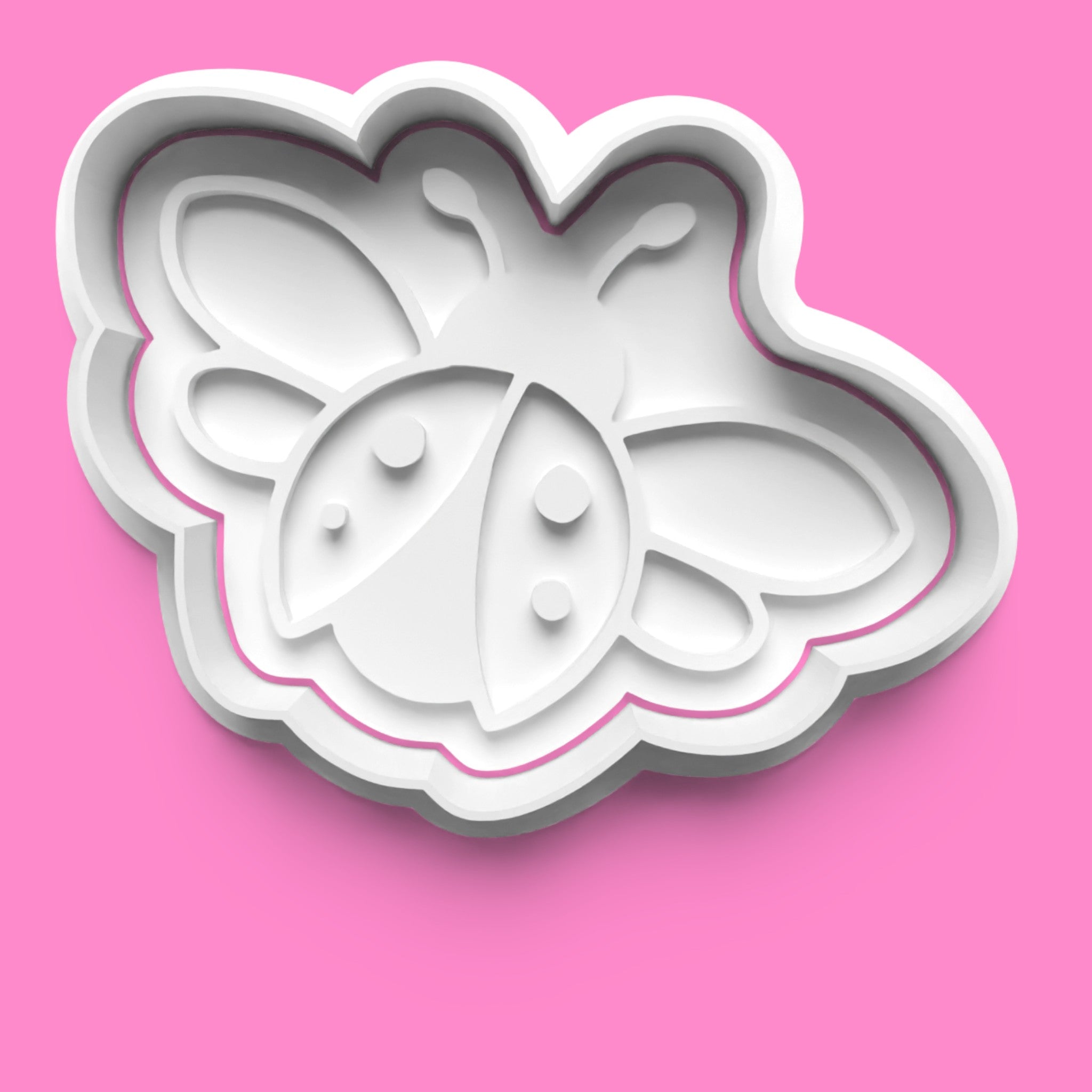 Ladybird Theme Cookie Cutter & Embosser Stamp Set – Cute & Nature-Inspired Collection