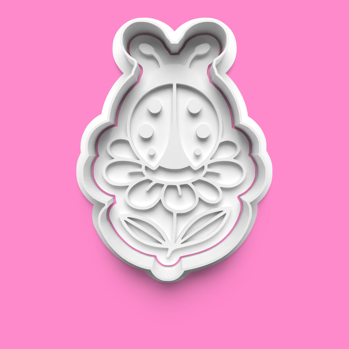 Ladybird Theme Cookie Cutter & Embosser Stamp Set – Cute & Nature-Inspired Collection