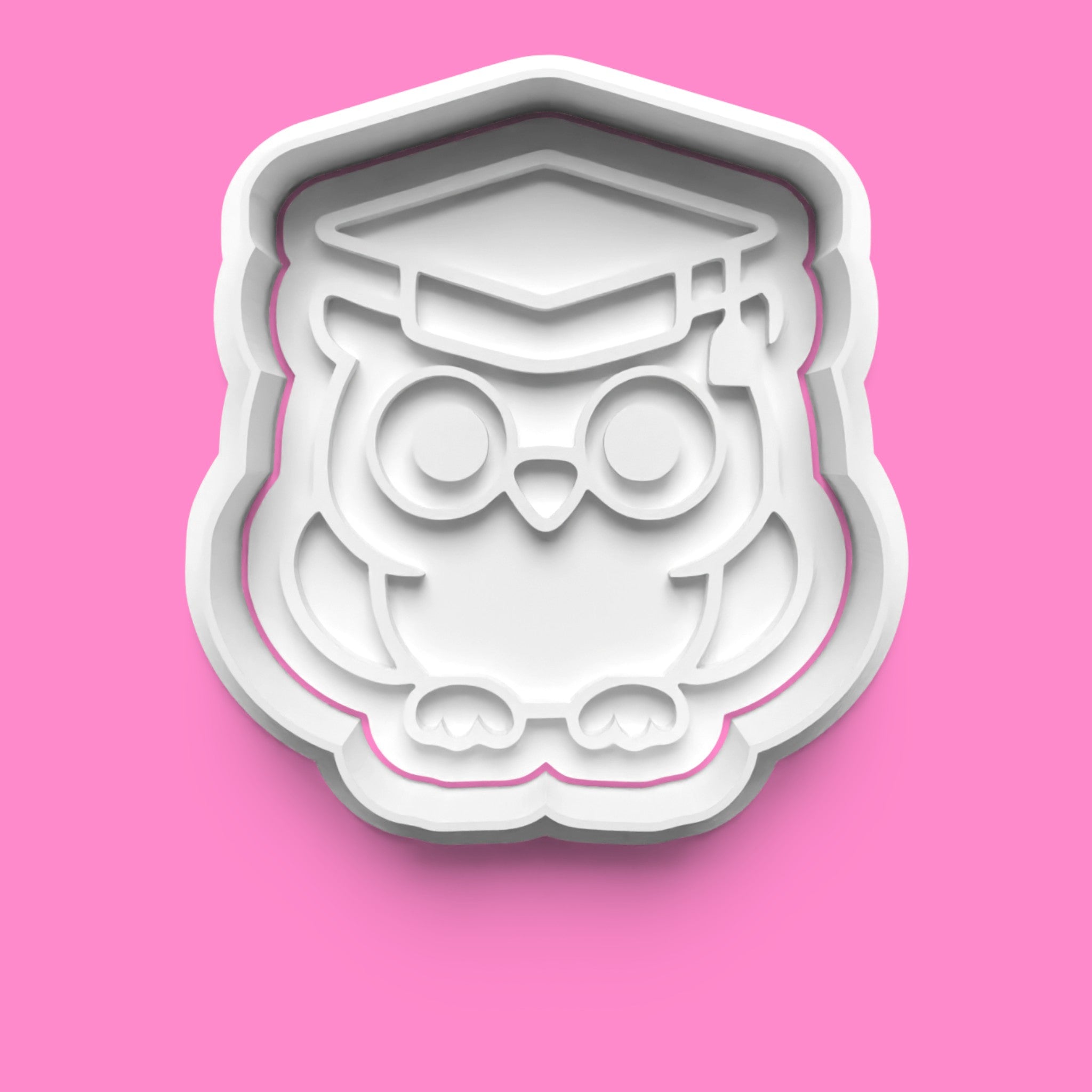School & Teacher Appreciation Cookie Cutter & Stamp Set | Wise Owl, Blackboard, Apple on Books & Cute Teacher Designs | 7cm - 10cm