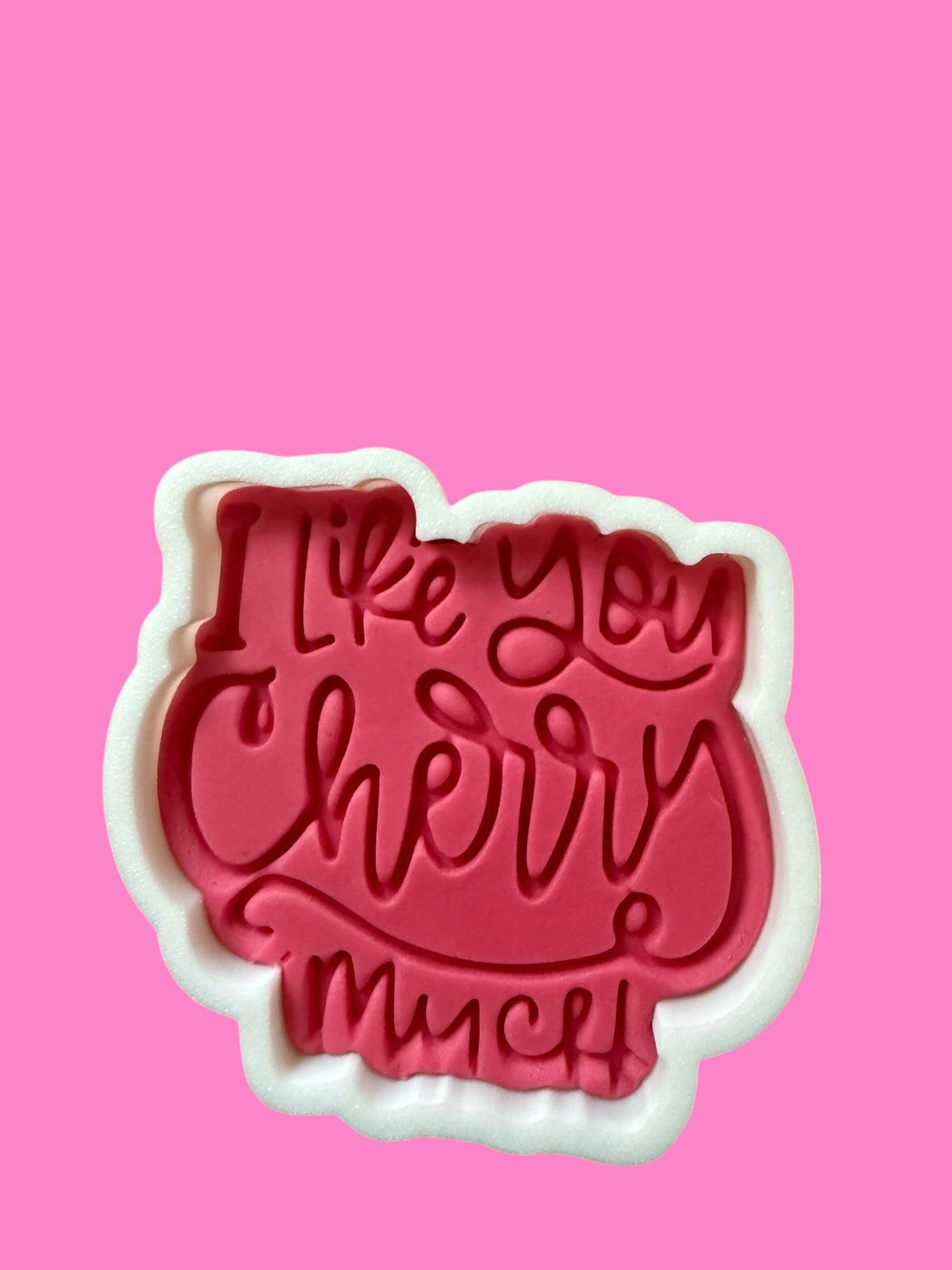 I Like You Cheerry Much Cookie Cutter & Stamp Set (8cm) | Birthday Baking | PLA.