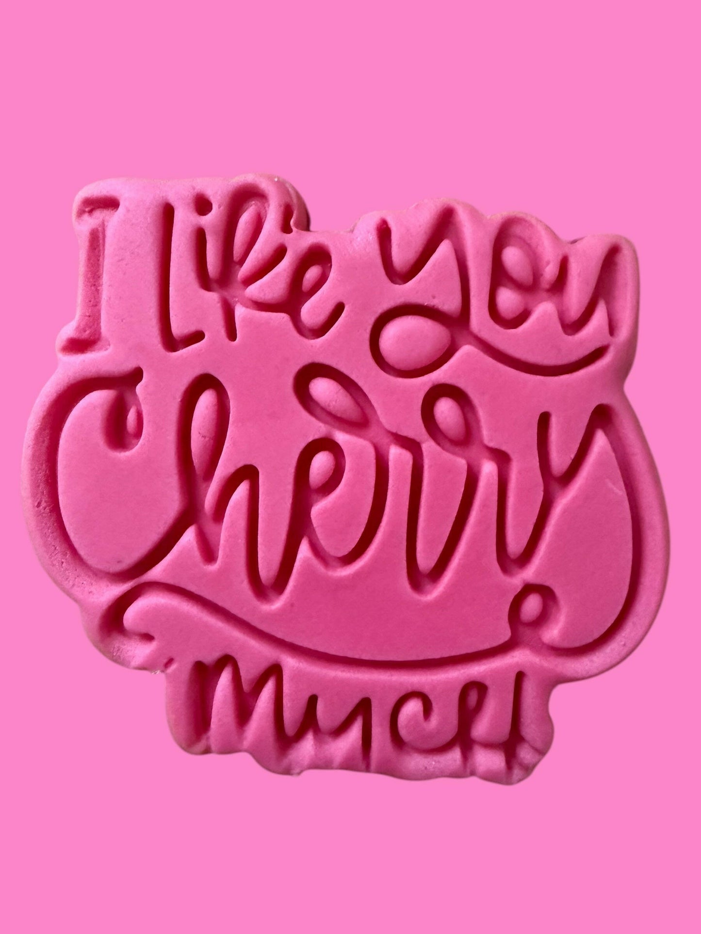 I Like You Cheerry Much Cookie Cutter & Stamp Set (8cm) | Birthday Baking | PLA.