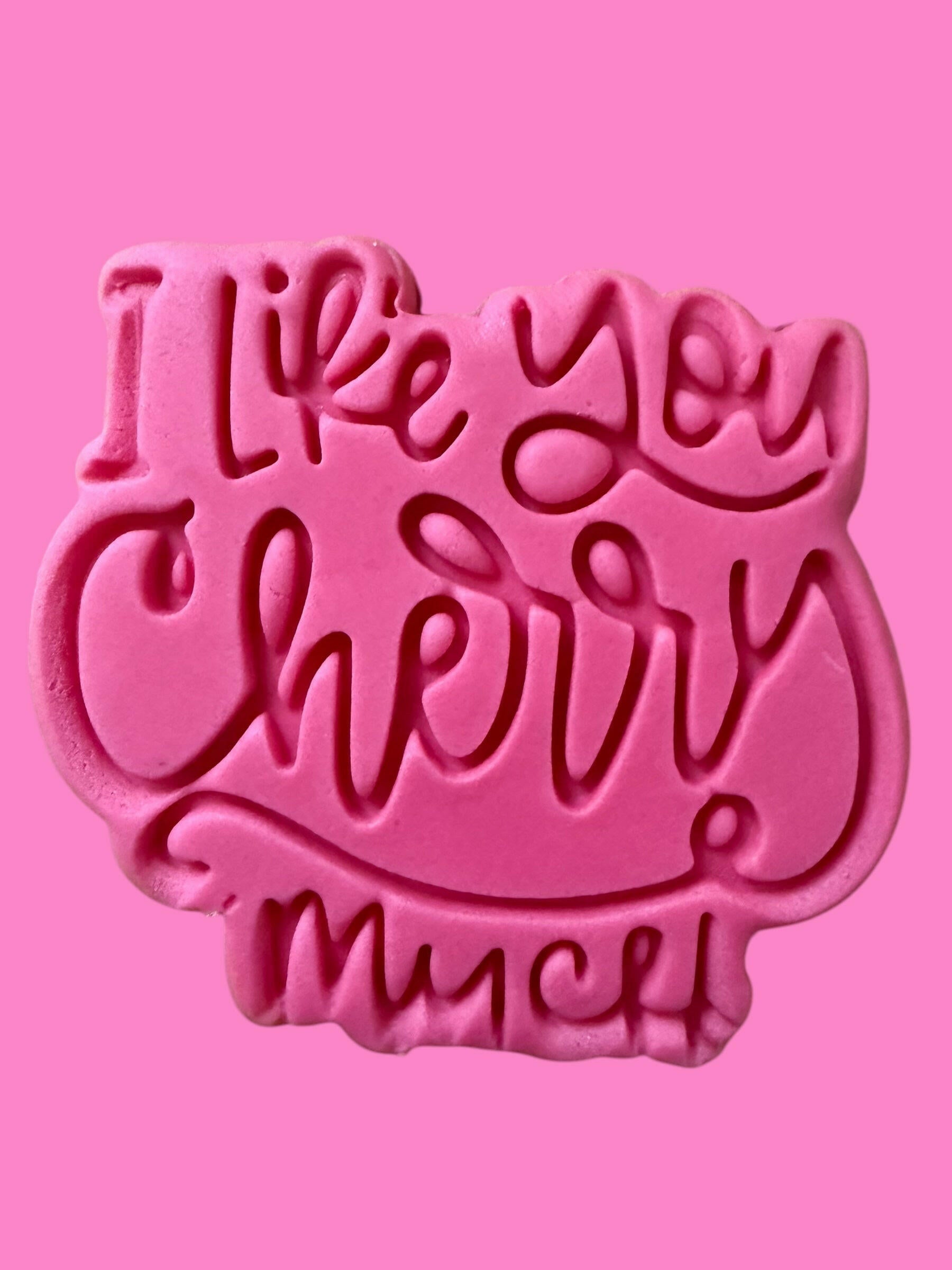 I Like You Cheerry Much Cookie Cutter & Stamp Set (8cm) | Birthday Baking | PLA.