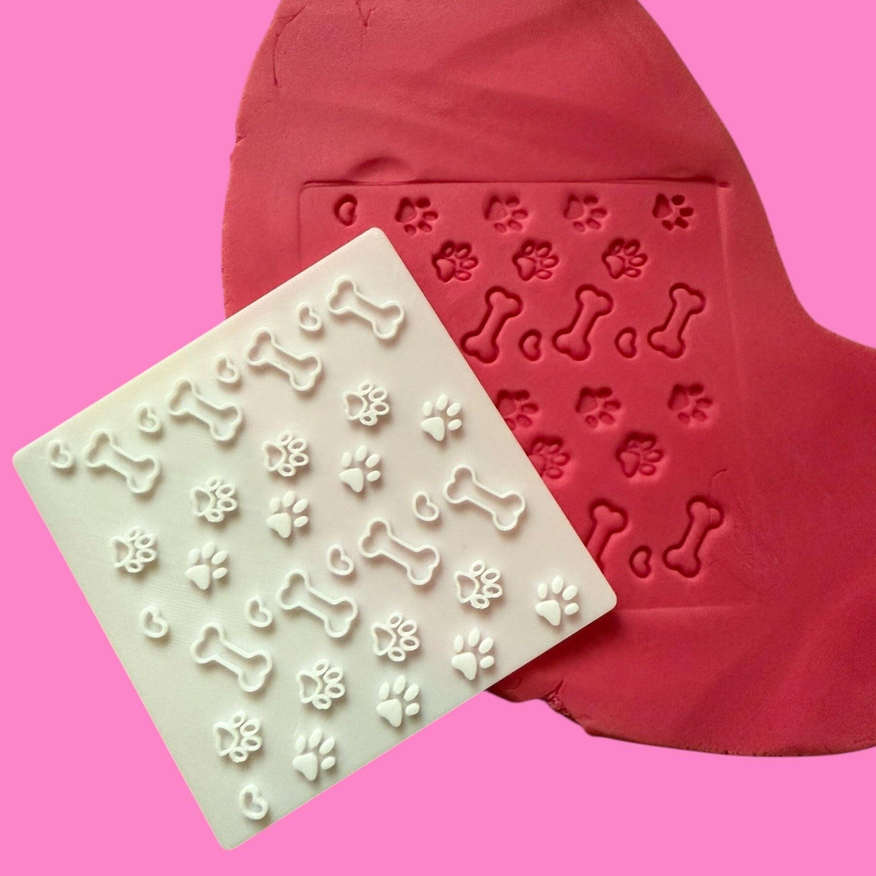 3D-Printed Textured Dog Items – Paw Print Bone Design, 10 cm Square.