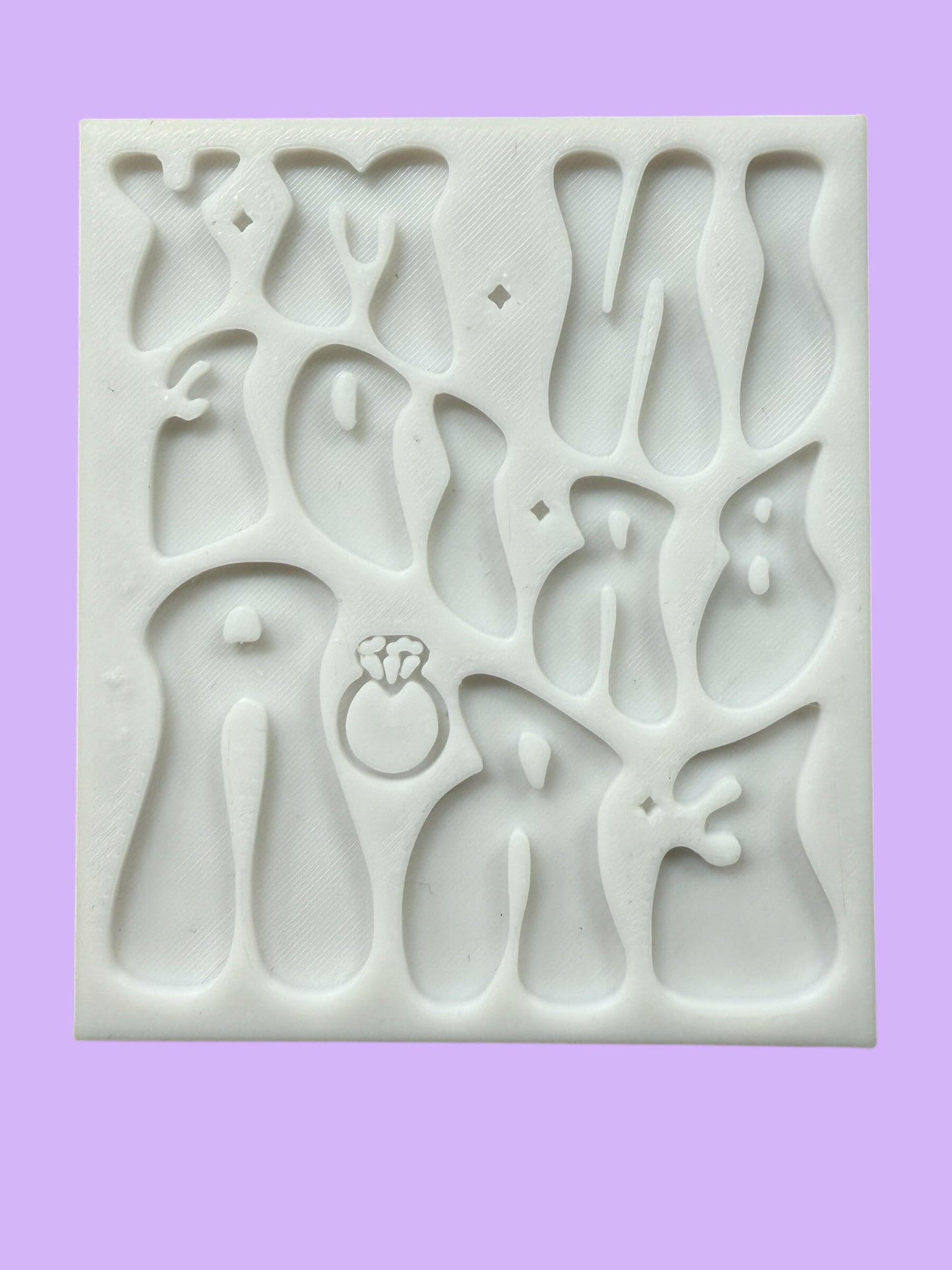"In My Bride Era" Rectangle Cookie Cutter & Stamp | Trendy Party Baking | PLA
