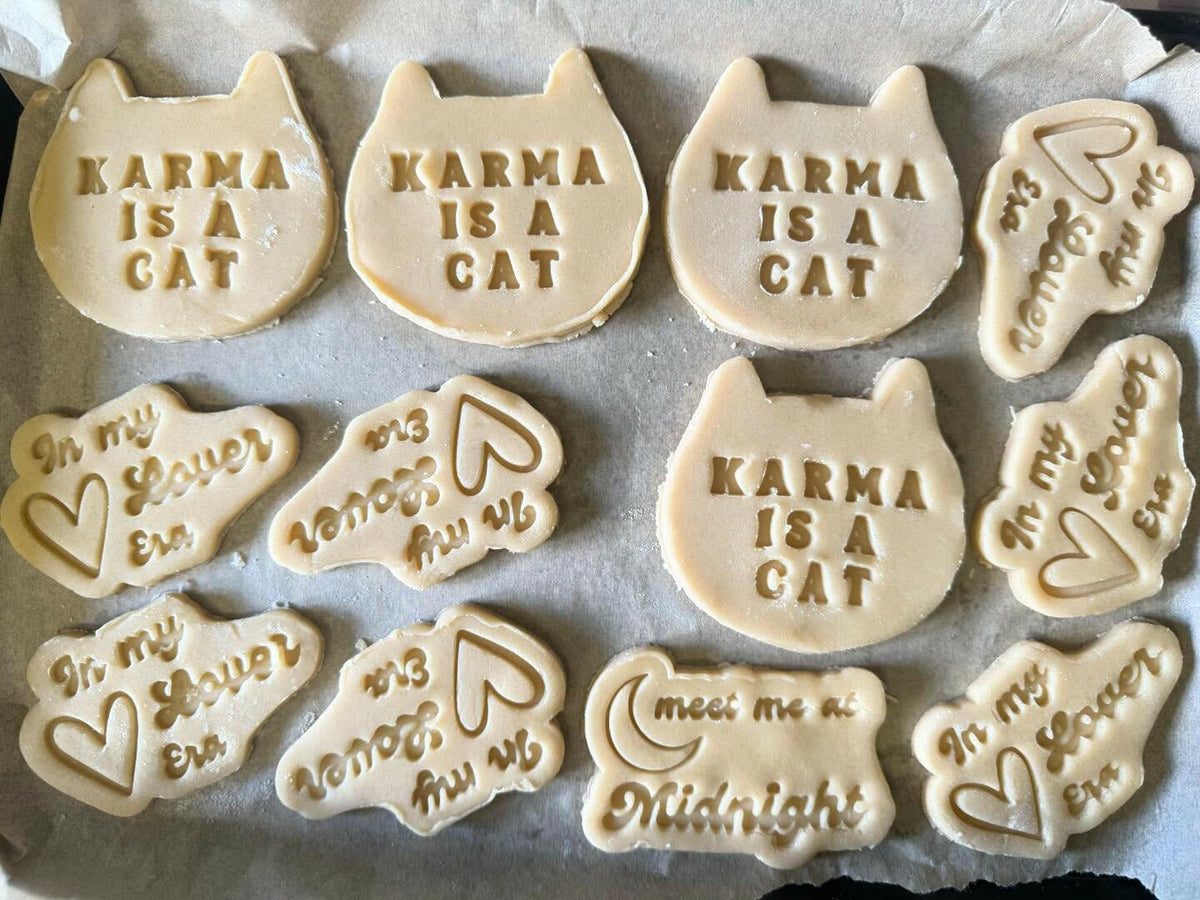 Taylor Swift Inspired Cookie Cutter and Embosser Set of 4 in 7cm or 10cm sizes..