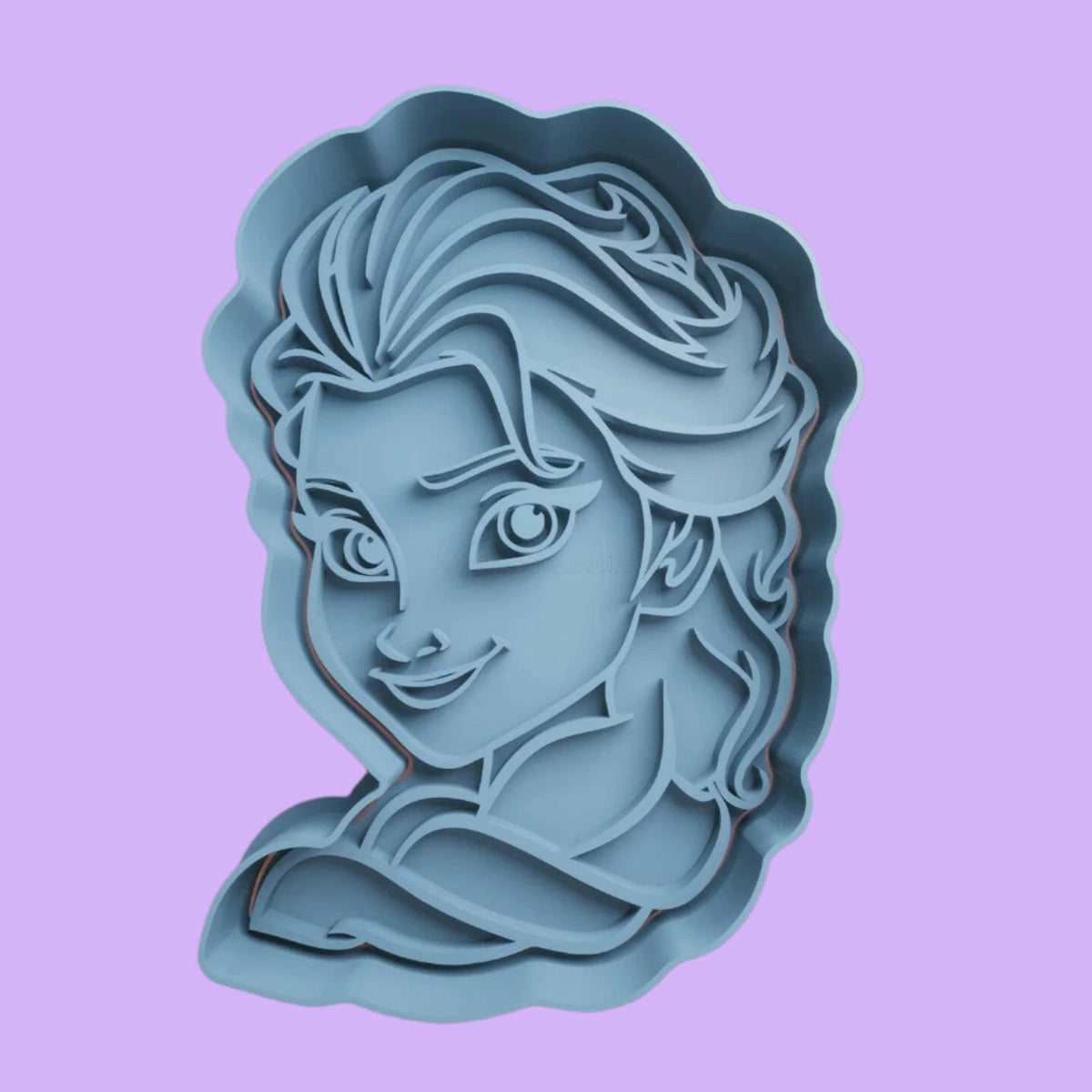 Frozen Cookie Cutter and Embosser Stamp Set of 6.